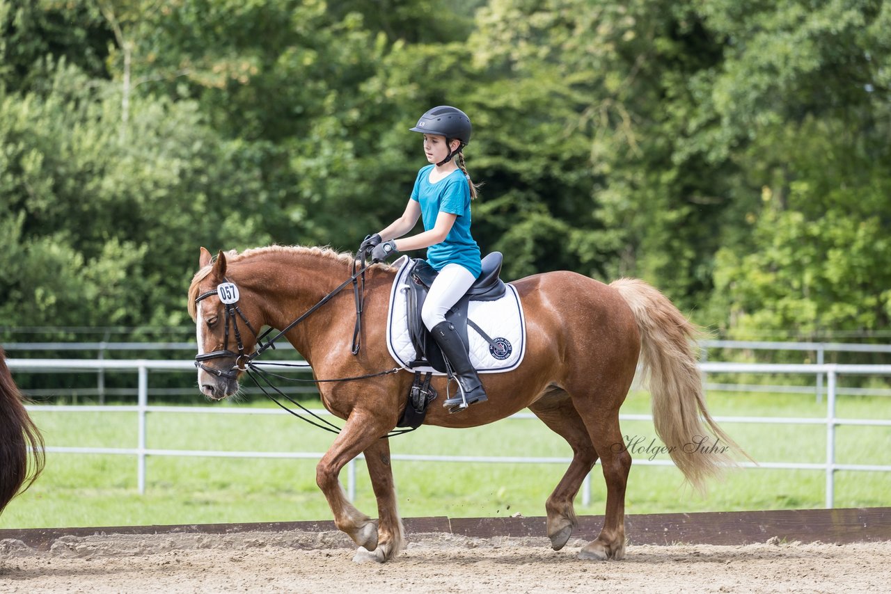 Bild 50 - Pony Akademie Turnier